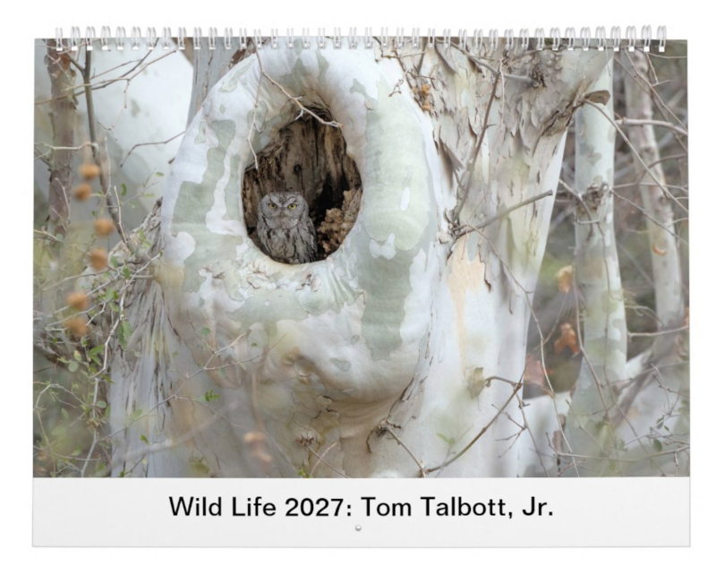Wild Life 2027 Calendar